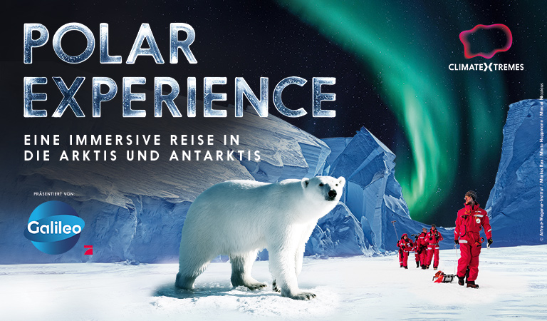 Eine Gruppe Menschen in roten Anzügen steht neben einem weißen Eisbären vor Polarlichtern