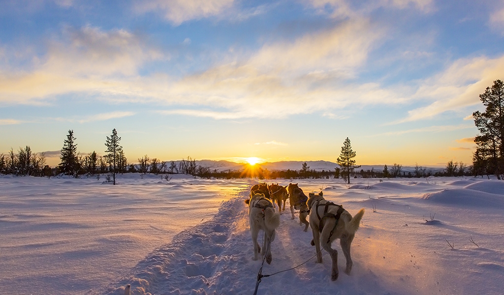 Lappland