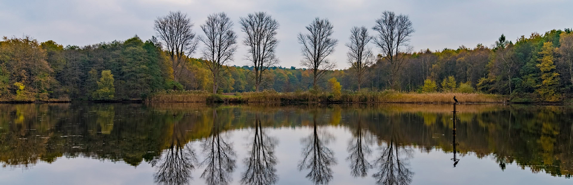 Eine ruhige Herbstlandschaft mit Bäumen, die sich im See spiegeln.