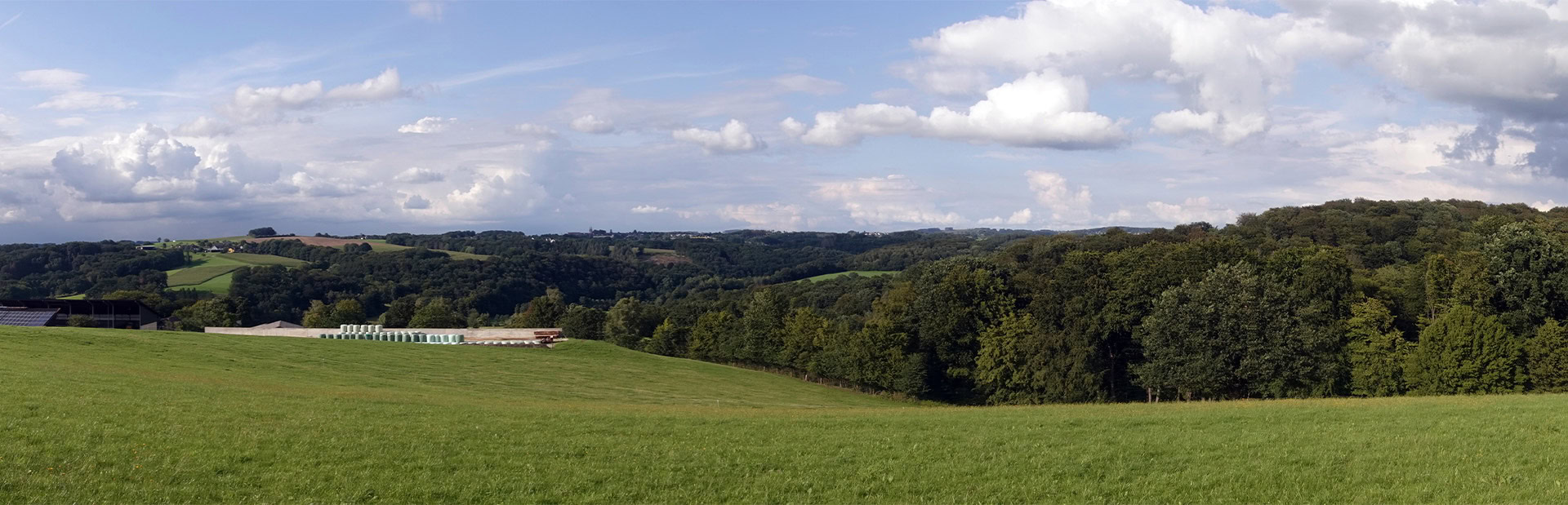 Landschaft mit grünem Feld, hügeligen Wäldern und bewölktem Himmel bei Tageslicht.