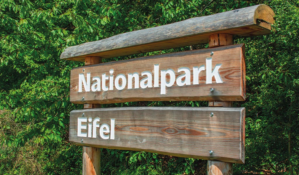 Holzschild mit weißer Schrift „Nationalpark Eifel“ vor grüner Blattkulisse.
