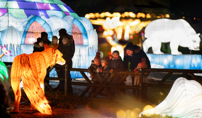 Eine Gruppe lachender Kinder mit Erwachsenen bei beleuchteten Tierfiguren und Iglus