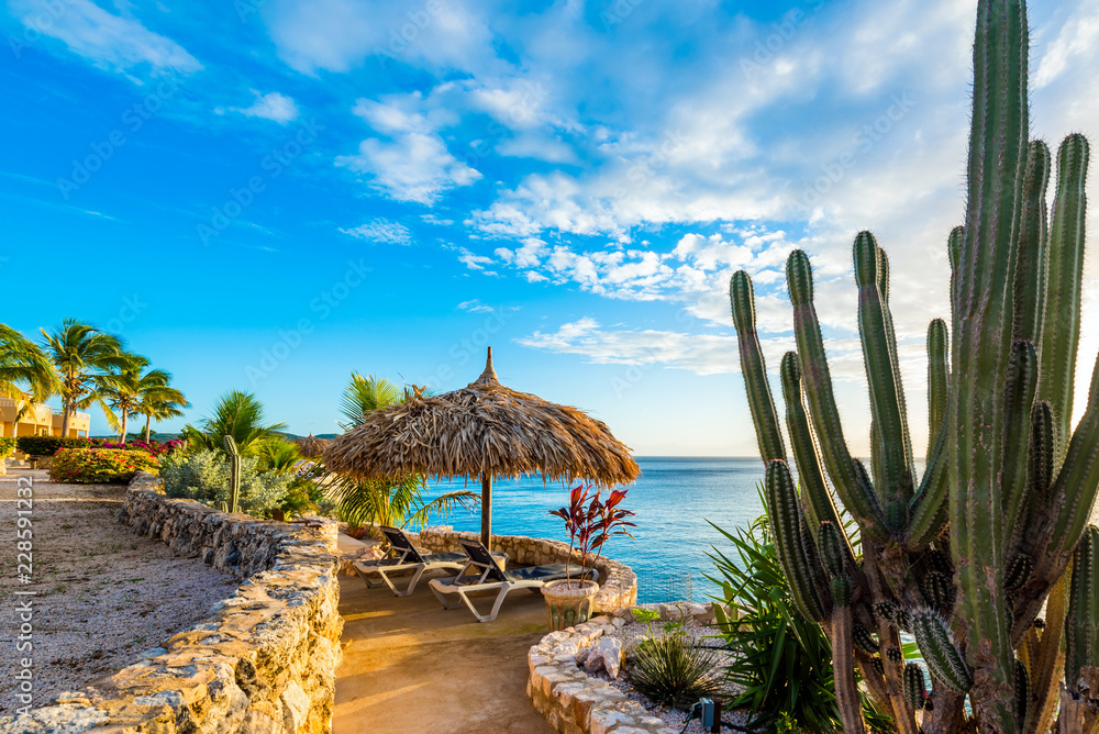 Eine malerische tropische Terrasse mit Palmen, Kakteen und Strohdach vor blauem Meer