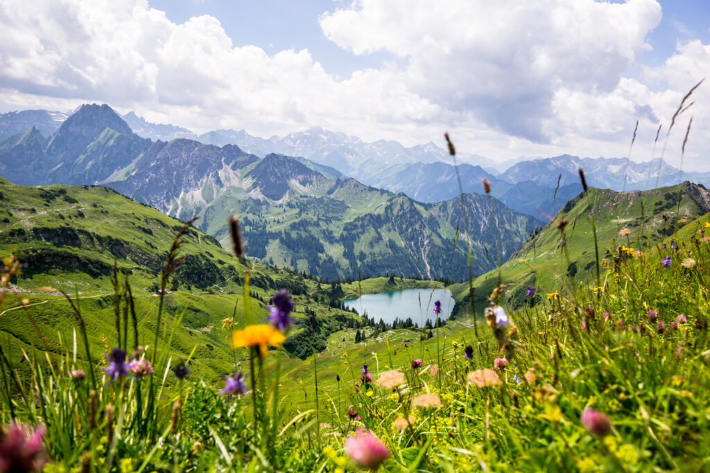 Bunte Blumen auf grünen Wiesen vor einem kleinen See in einer bergigen Landschaft