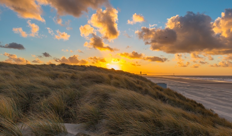 Ein Sonnenuntergang beleuchtet das goldene Dünengras am Strand mit leuchtenden Wolken