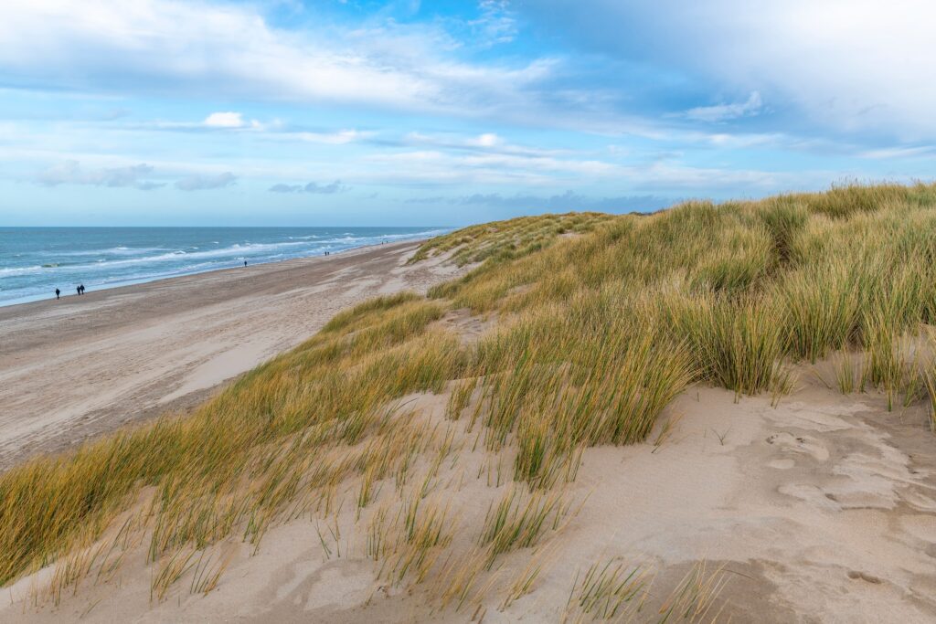 Sanddüne am Meer mit grünem Gras und zwei Spaziergängern am Horizont