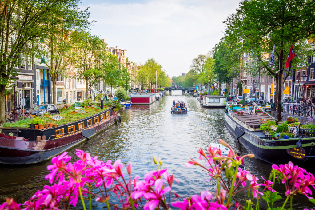 Pink flowers in the foreground frame a lively canal scene with boats and green trees