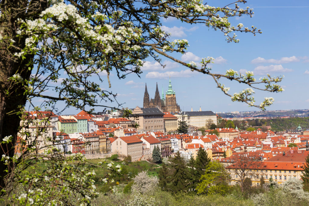 Eine lebendige Stadtansicht mit roten Dächern und blühenden Bäumen im Vordergrund