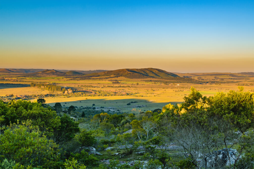 Weites Landschaftspanorama mit grünen Bäumen, goldenen Feldern und blauem Himmel
