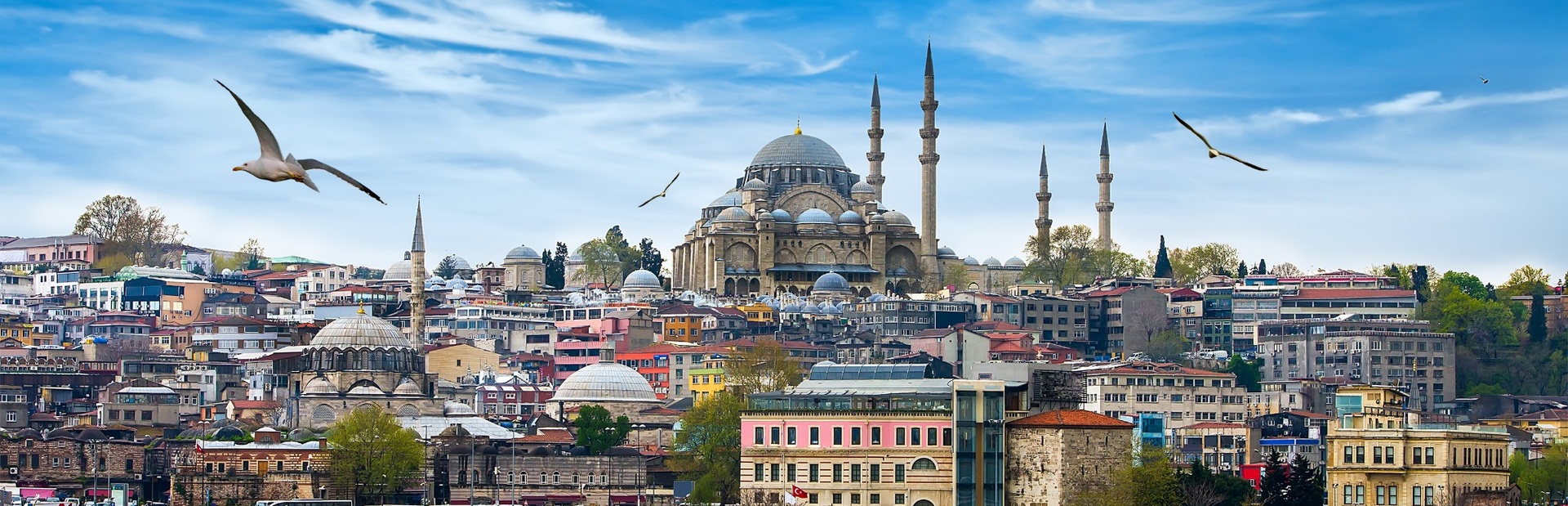 Vögel fliegen über farbenfrohen Häusern und einer großen Moschee mit Minaretten