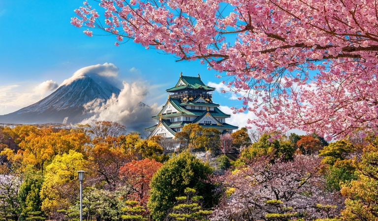 Ein japanischer Tempel mit grünem Dach steht vor blühenden Kirschbäumen und einem Vulkan im Hintergrund