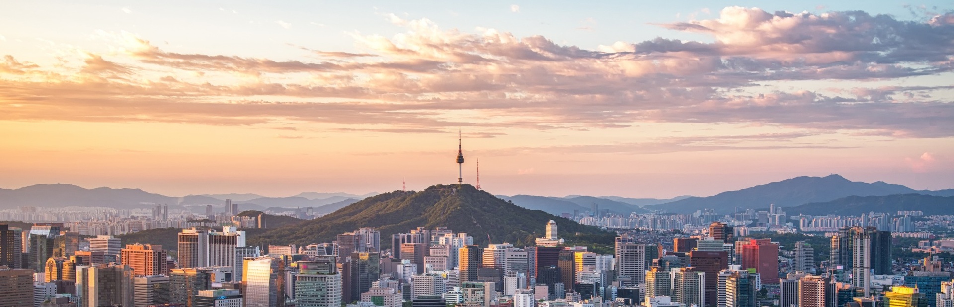 Die Skyline einer Stadt mit dem Namsan Tower vor einem bewaldeten Hügel im Sonnenlicht