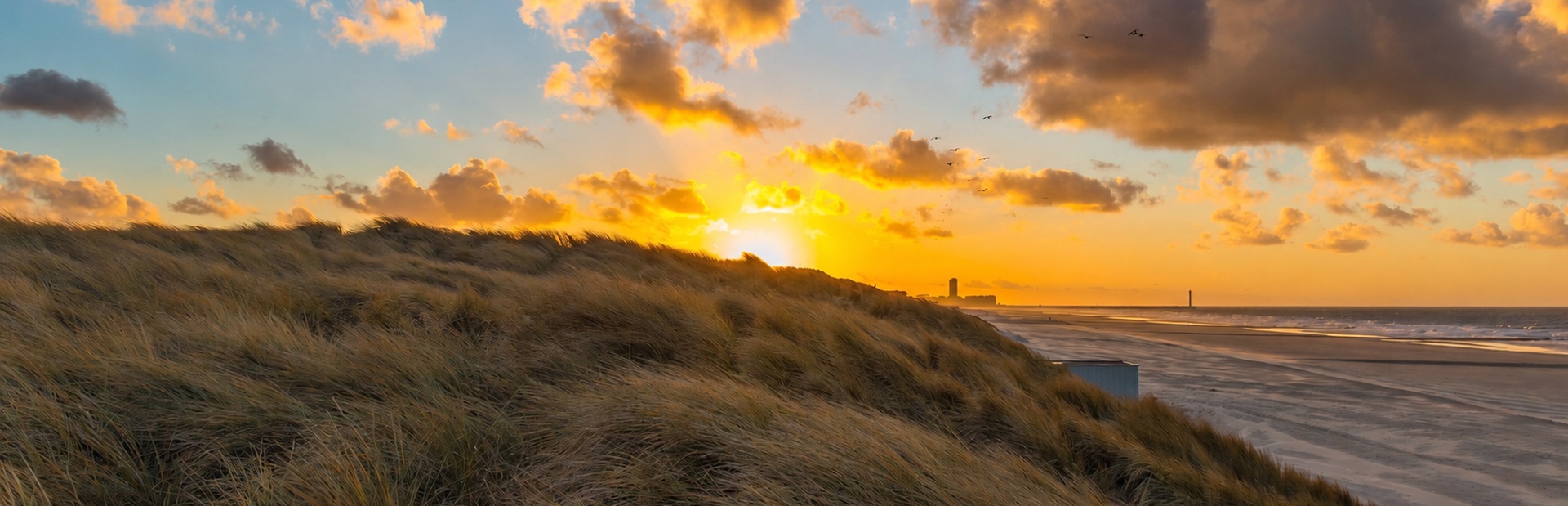 Der Sonnenuntergang beleuchtet goldene Dünen am Strand mit Wolken und Vögeln am Himmel
