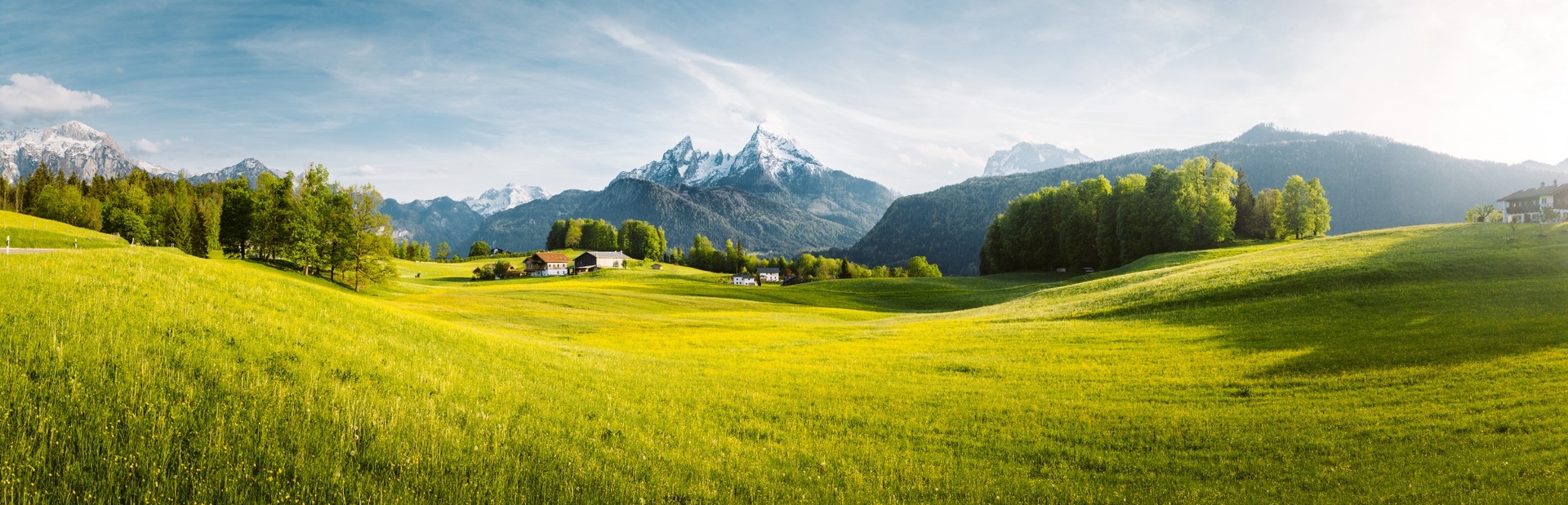 Eine grüne Wiese mit gelben Blumen und Bergen im Hintergrund unter blauem Himmel
