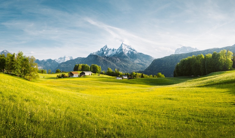 Eine weite grüne Wiese mit Bauernhäusern und schneebedeckten Bergen im Hintergrund